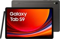 Planšetinis kompiuteris Samsung Galaxy Tab S9 256GB X716 WiFi 