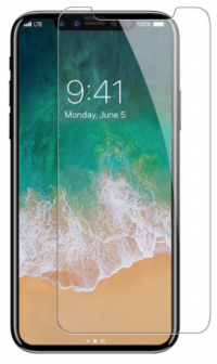 Apsauginis ekrano stiklas Apple iPhone X 