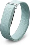 Google Fitbit Air nuotrauka 1