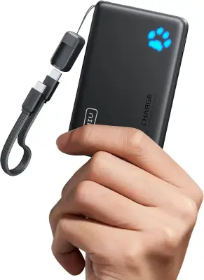 INIU Powerbank 10000mAh 45W 