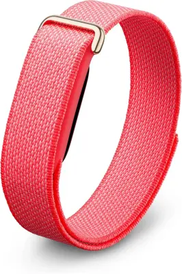 Google Fitbit Air 