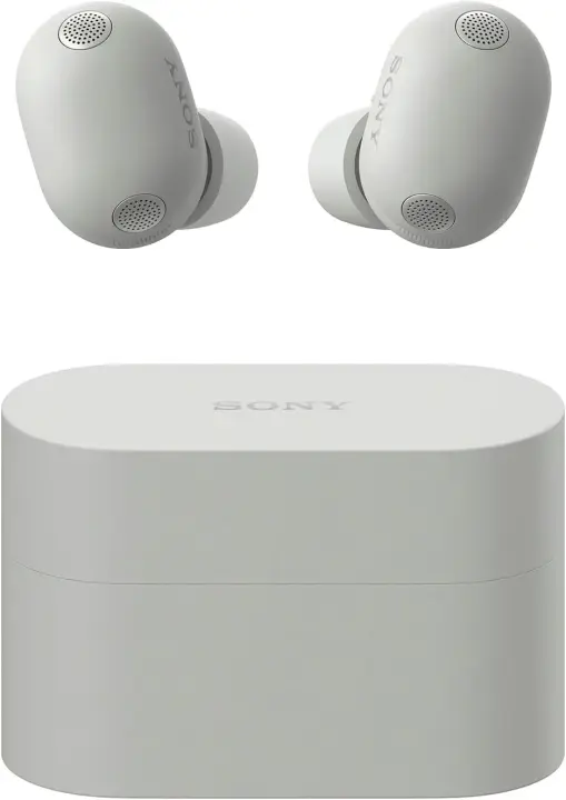 Belaidės ausinės Sony WF-1000XM6 Silver
