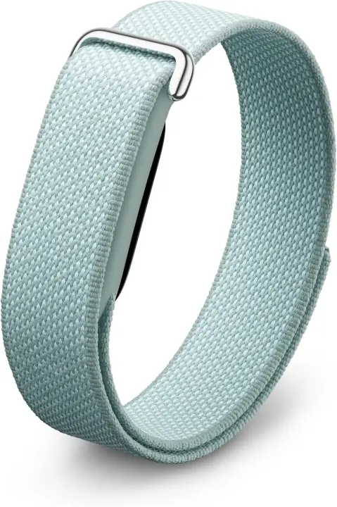 Google Fitbit Air Fog
