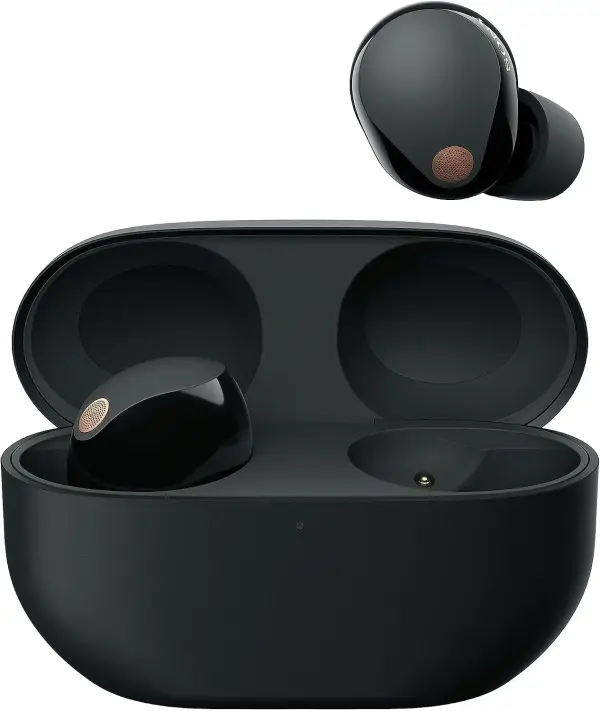 Belaidės ausinės Sony WF-1000XM5 Black