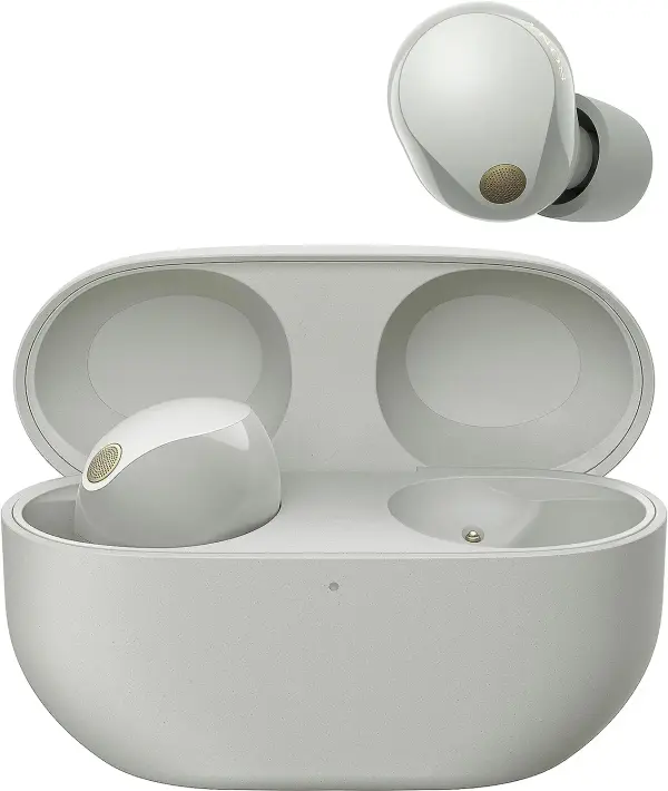 Belaidės ausinės Sony WF-1000XM5 Silver