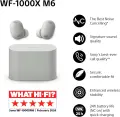 Belaidės ausinės Sony WF-1000XM6 nuotrauka 2