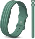 Fitbit Air pakaitinis silikoninis dirželis nuotrauka 4